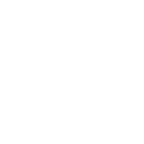 BattleX